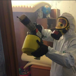 Уничтожение клопов в квартире. Новокуйбышевск